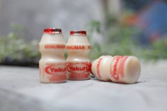 <b>日本饮料巨头养乐多关闭广州工厂</b>